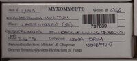 Image Associated With the Occurence